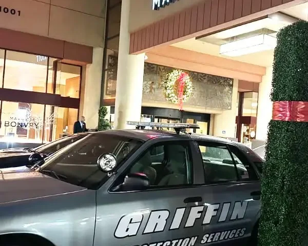 Shopping Mall Security Services